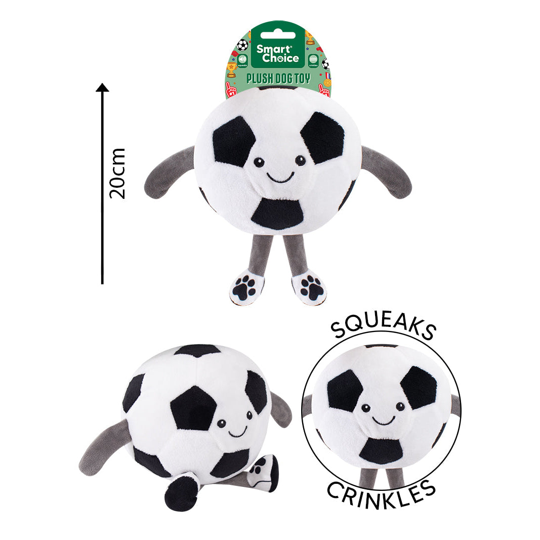 Playtime Champion Football Toy