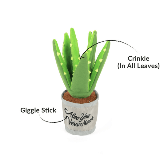 Aloe-ve You Plant, Blooming Buddies Toy