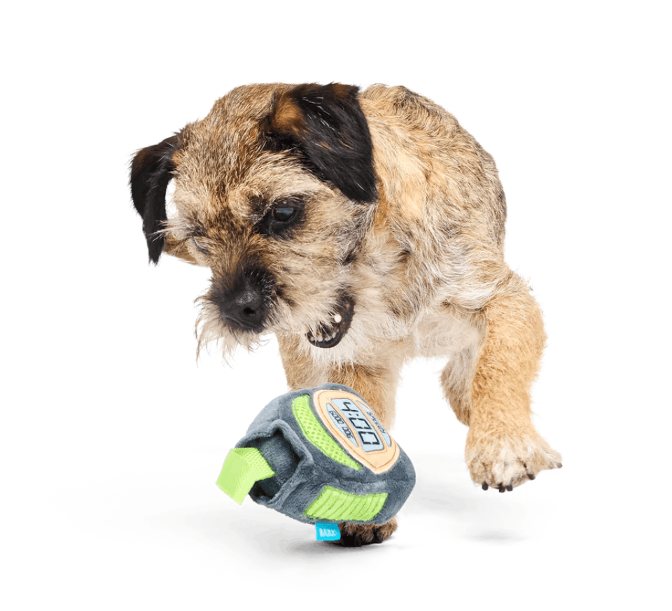 Bark x Crufts Personal Beast Play Timer Dog Toy