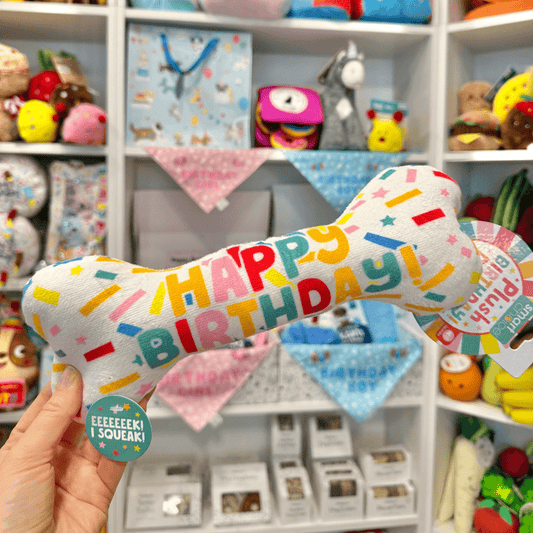 Birthday Bone Toy