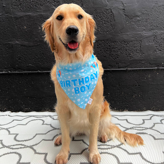 Birthday Boy Dog Bandana