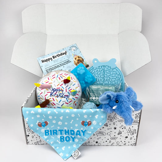Birthday Boy Dog Hamper