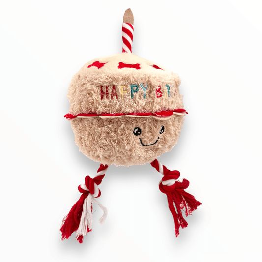 Birthday Cake Rope Plush Dog Toy