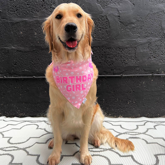 Birthday Girl Dog Bandana