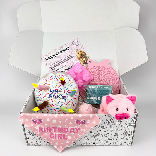 Birthday Girl Dog Hamper
