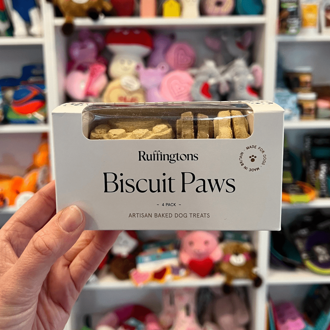 Biscuit Paws