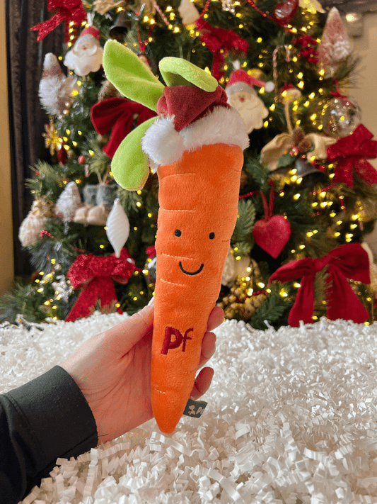 carter carrot plush dog toy