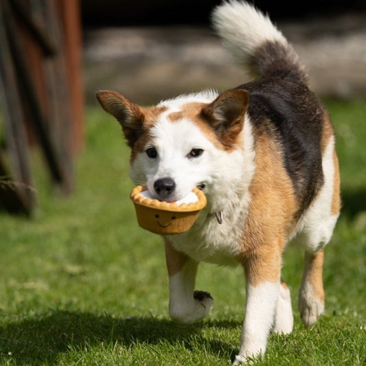Cherry Bakewell Latex Dog Toy
