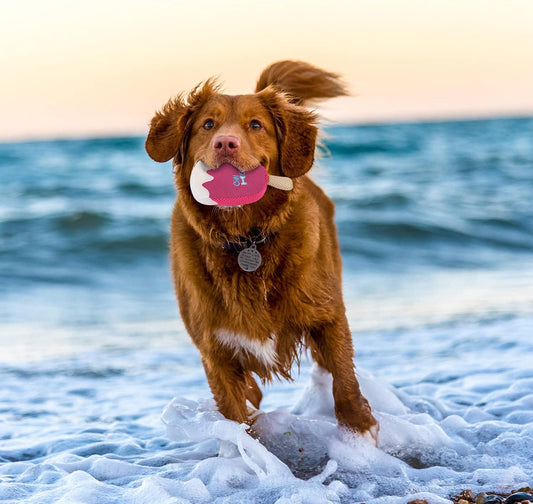 Chill Out Ice Cream Toy