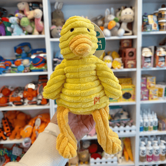 Denny Duckling Toy