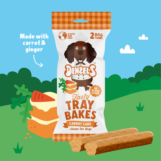 Carrot Cake Traybake Sticks - 50g