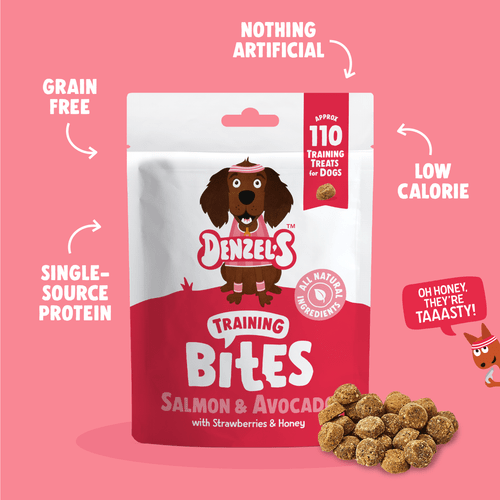 Denzels Salmon and Avocado Training Bites Dog Treats