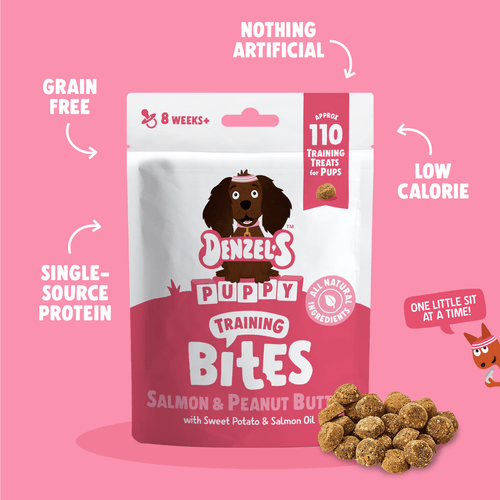 Denzels Puppy Salmon and Peanut Butter Training Bites Dog Treats