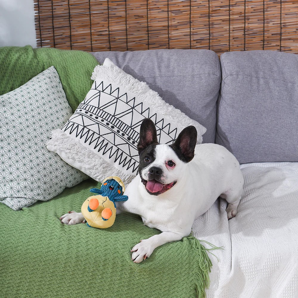 Dino Egg Plush Dog Toy