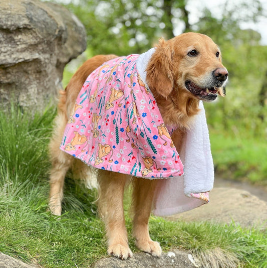 Nala - Pawsome Paws Boutique x Disney Dog Blanket