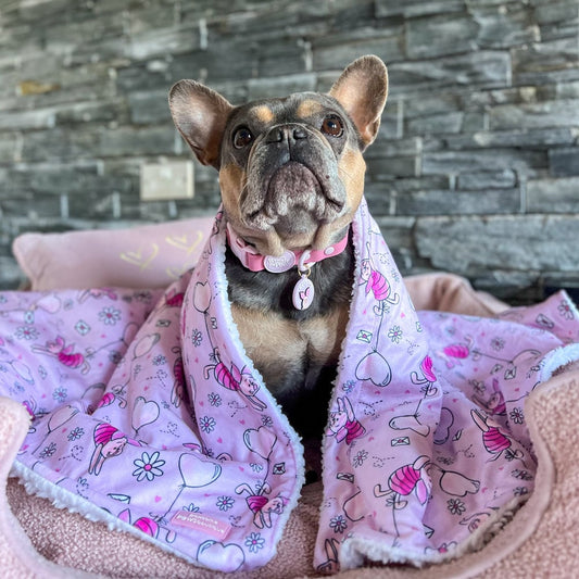 Piglet - Pawsome Paws Boutique x Disney Dog Blanket