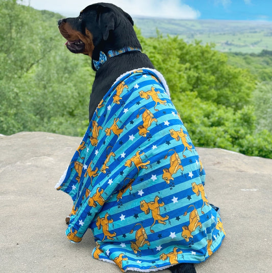 Simba - Pawsome Paws Boutique x Disney Dog Blanket