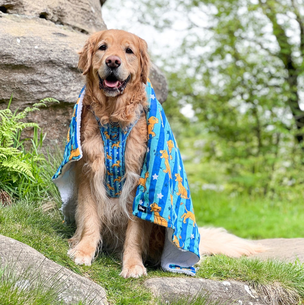 Simba - Pawsome Paws Boutique x Disney Dog Blanket
