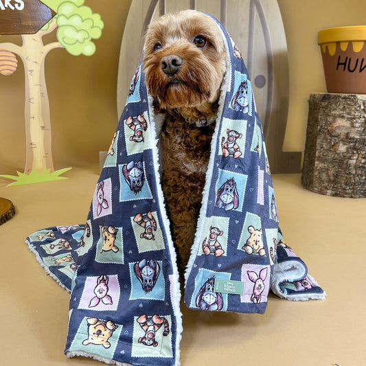 Winnie + Friends - Pawsome Paws Boutique x Disney Dog Blanket