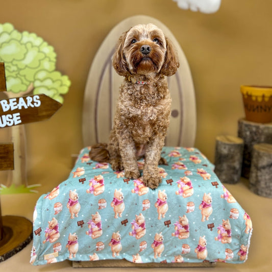 Winnie The Pooh - Pawsome Paws Boutique x Disney Dog Blanket