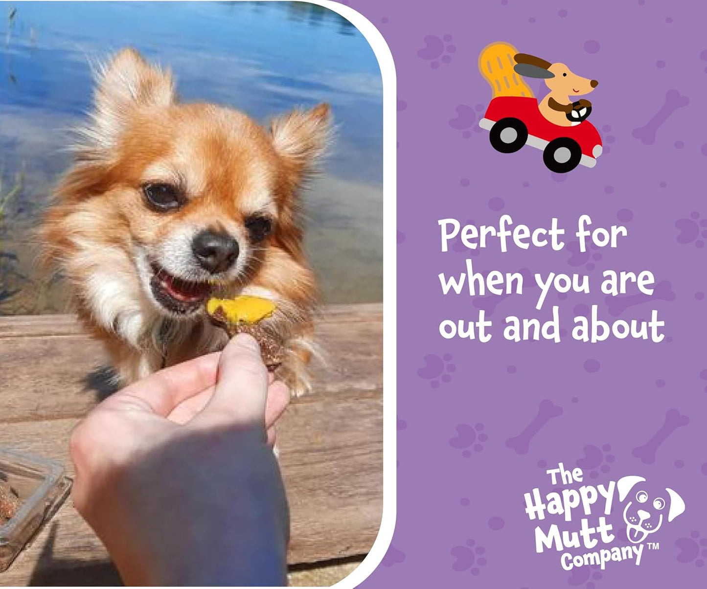 Doggie Dippers, Crunchy Peanut Butter Tray - 100g