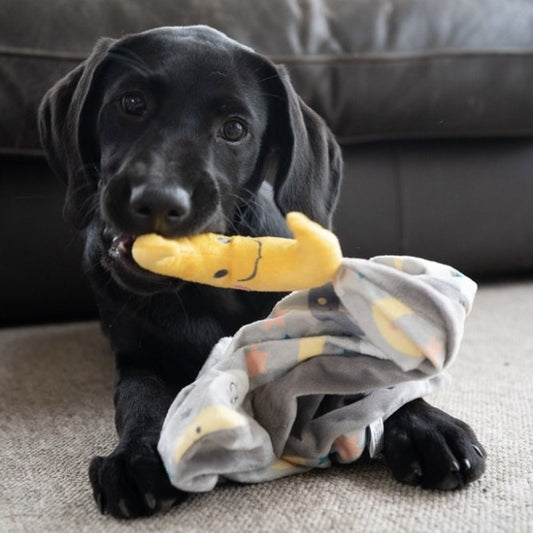 Dream Big Puppy Soother Toy