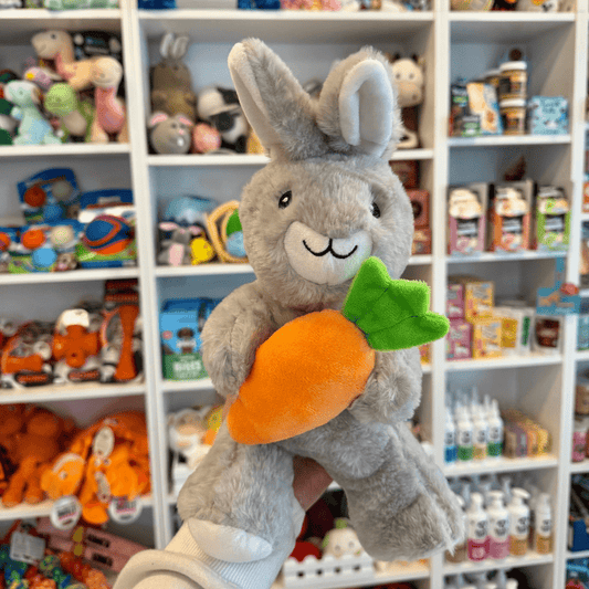 Easter Bunny With Carrot Toy
