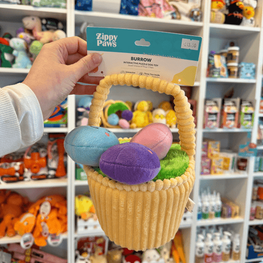 Easter Egg Basket Hide and Seek Burrow Toy