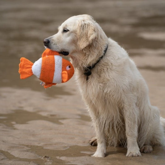 Fish Plush And Rubber Strong Dog Toy