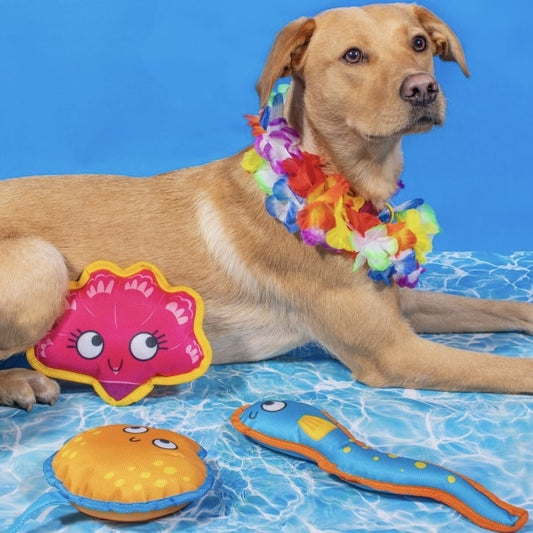 Floating Fish Dog Toy