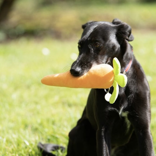 Furry Carrot Plush Dog Toy