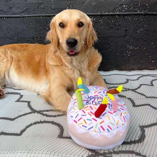 Happy Birthday Dog Cake Toy