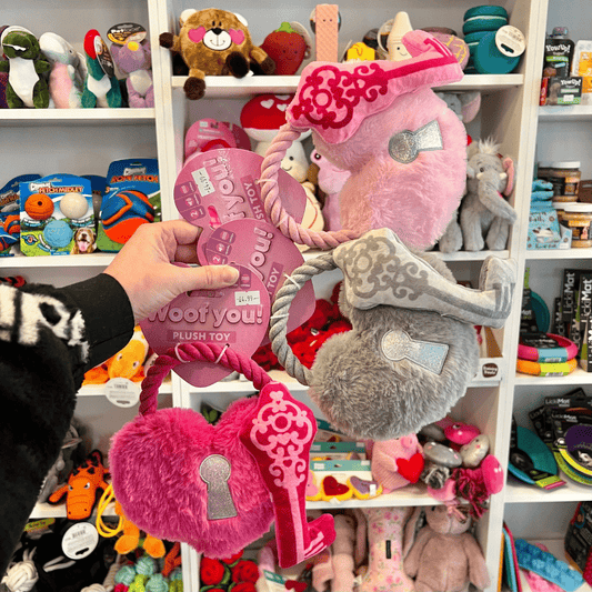 Heart Padlock and Key Toy