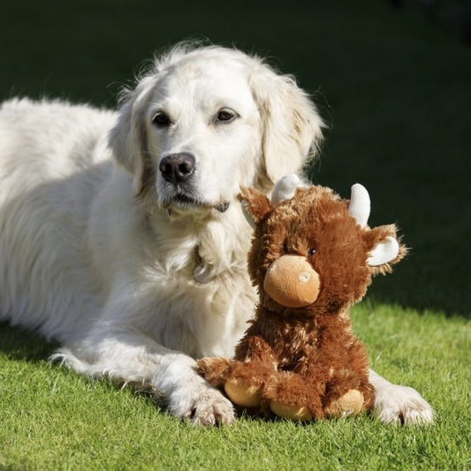 Hetty Highland Cow Plush Dog Toy