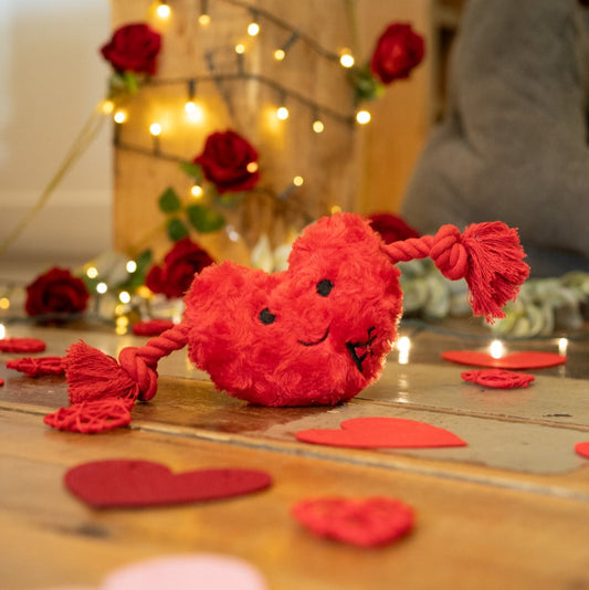 Hughie Heart With Rope Toy