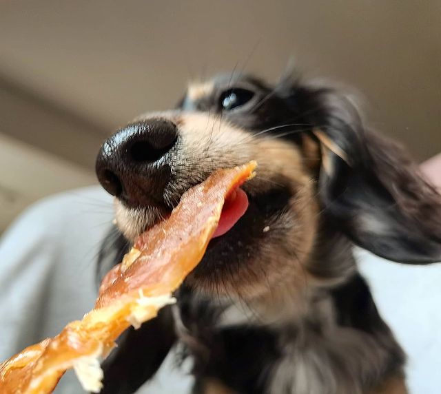 Chicken Breast Jerky