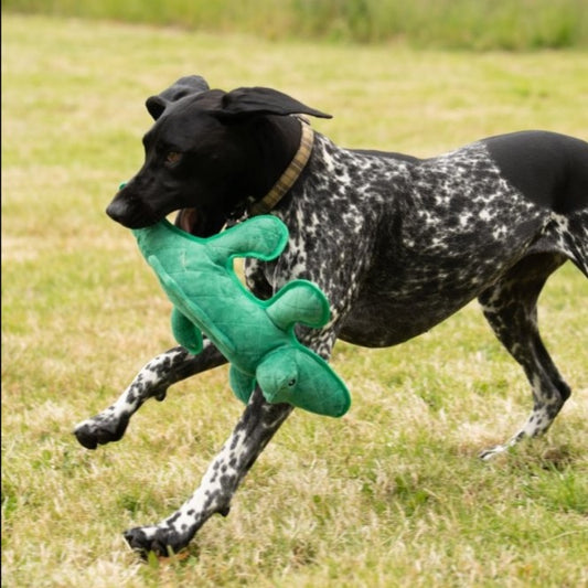 Large Tough Gator Plush Toy