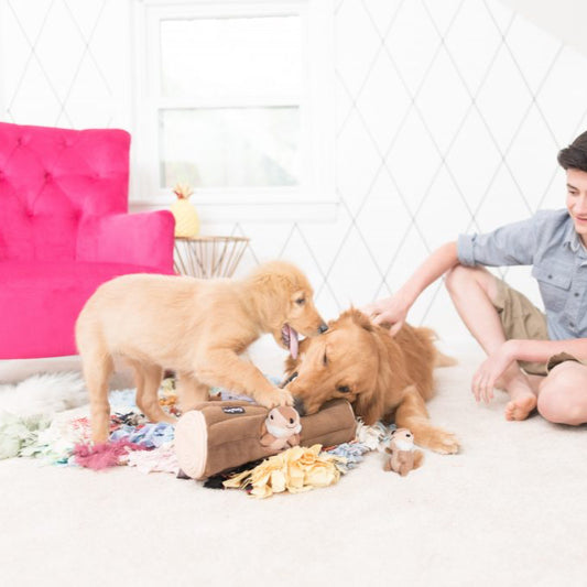 Log With Chipmunks Hide and Seek Burrow Toy