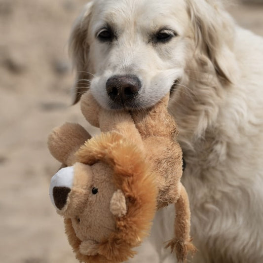 Luis Lion Dog Toy