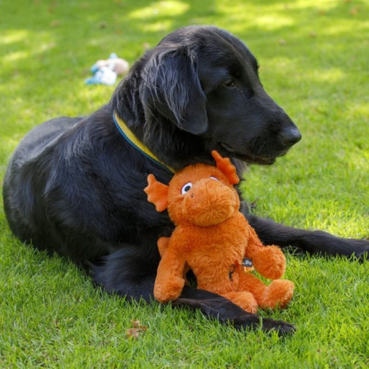 Mighty Dragon Plush Strong Dog Toy