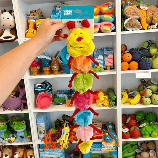 Multi Coloured Caterpillar Toy
