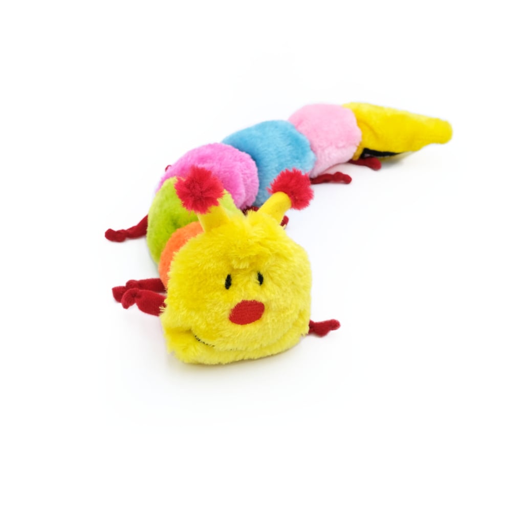 Multi Coloured Caterpillar Toy