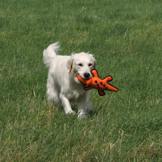 Nobbly Crocodile Fabric And Rubber Strong Dog Toy