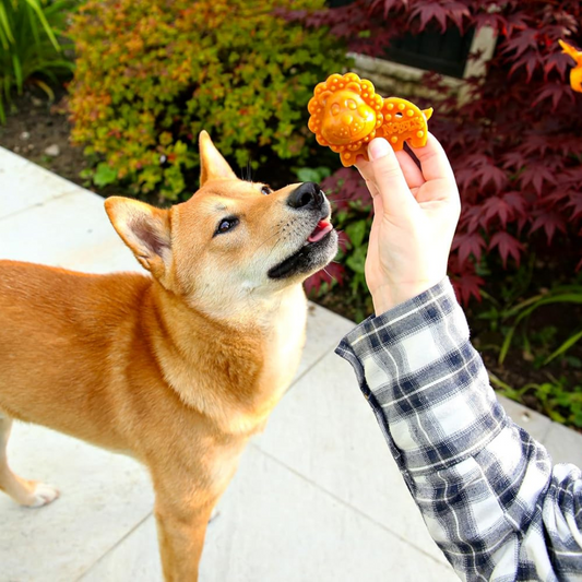 Nobblys Animal Lion Banana Chew
