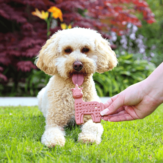 Nobblys Animal Unicorn Strawberry Chew