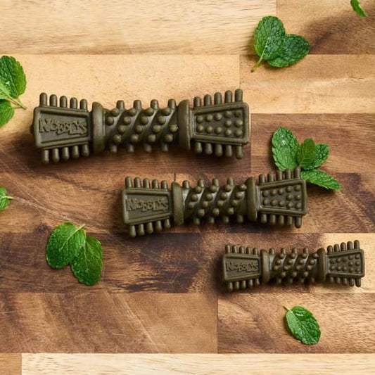 Nobblys Tough Brush Mint Chew
