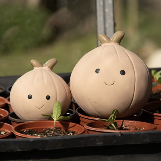 Onion Toy