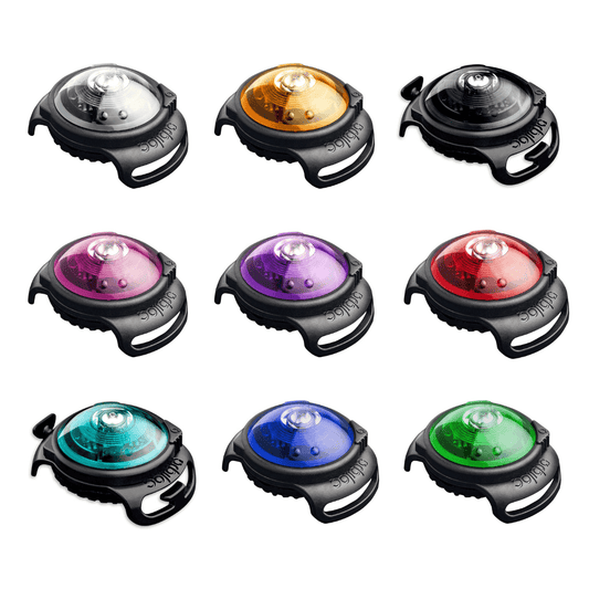 orbiloc dog dual safety night light group