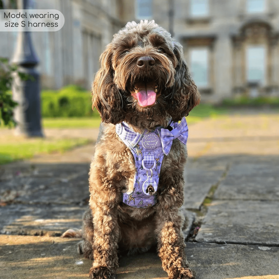 Pawsome Paws Boutique x Disney Tough Trails Harness - Bambi + Friends Lilac