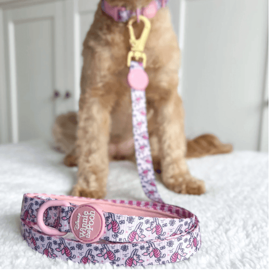 Pawsome Paws Boutique x Disney Lead - Piglet